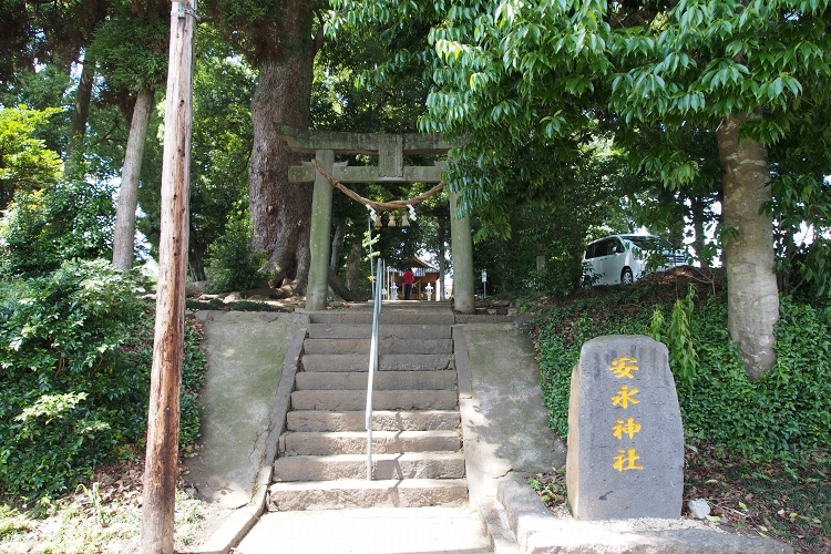 樹齢３００年のクスノキに会いに　益城町　安永神社_b0123359_2203847.jpg