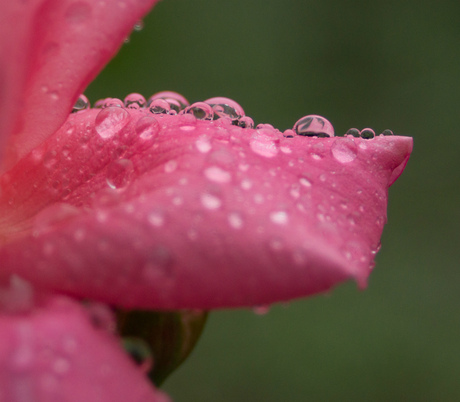 梅雨空からの贈り物。_c0260264_19411411.jpg