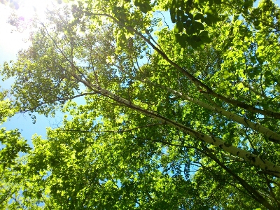 c0188367_01557.jpg