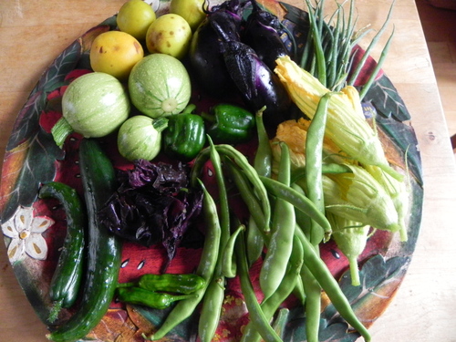 ★夏野菜の収穫   ～有機肥料の作り方～_c0248467_11161498.jpg