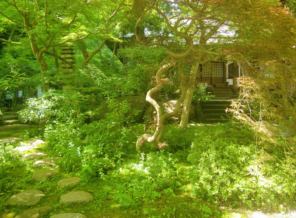 梅雨の晴れ間に鎌倉（終）覚園寺。。。神奈川県鎌倉市_f0184669_2257575.jpg