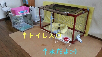 c0309381_0272247.jpg