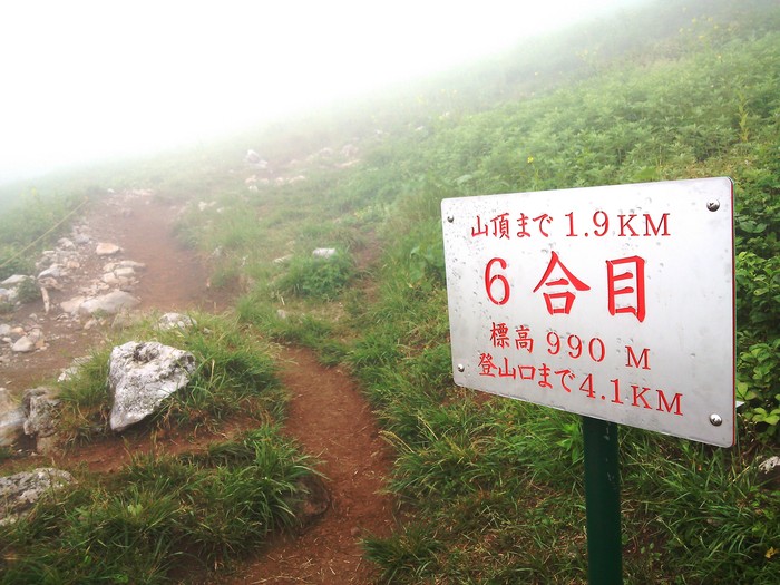 伊吹山　登山　　　_a0197483_14142782.jpg