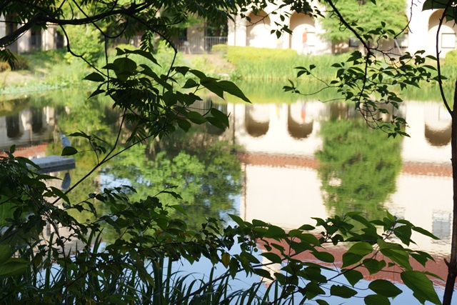 d0181492_2130162.jpg