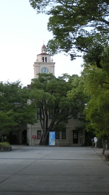 関西学院大学新月池の可愛いカルガモ、関西学院大学の美しい庭、橋下代表教育環境を関西学院大学で学べ_d0181492_923882.jpg