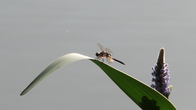 d0181492_9265563.jpg