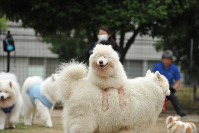 2013 穴子オフ～♪　part3_a0049296_65101.jpg