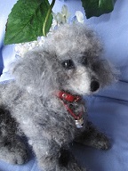 Poodles 1_f0296700_1255133.jpg