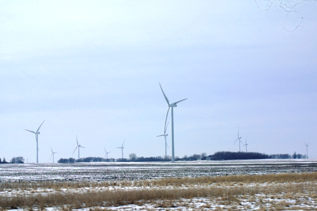 c0062603_7561036.jpg