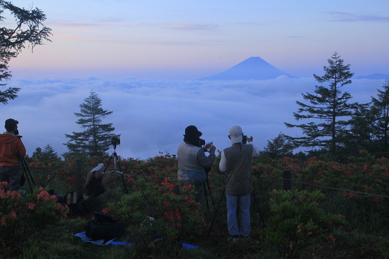 甘利山の雲海とツツジ 富士山大好き 写真は最高 甘利山の雲海とツツジ 富士山大好き 写真は最高