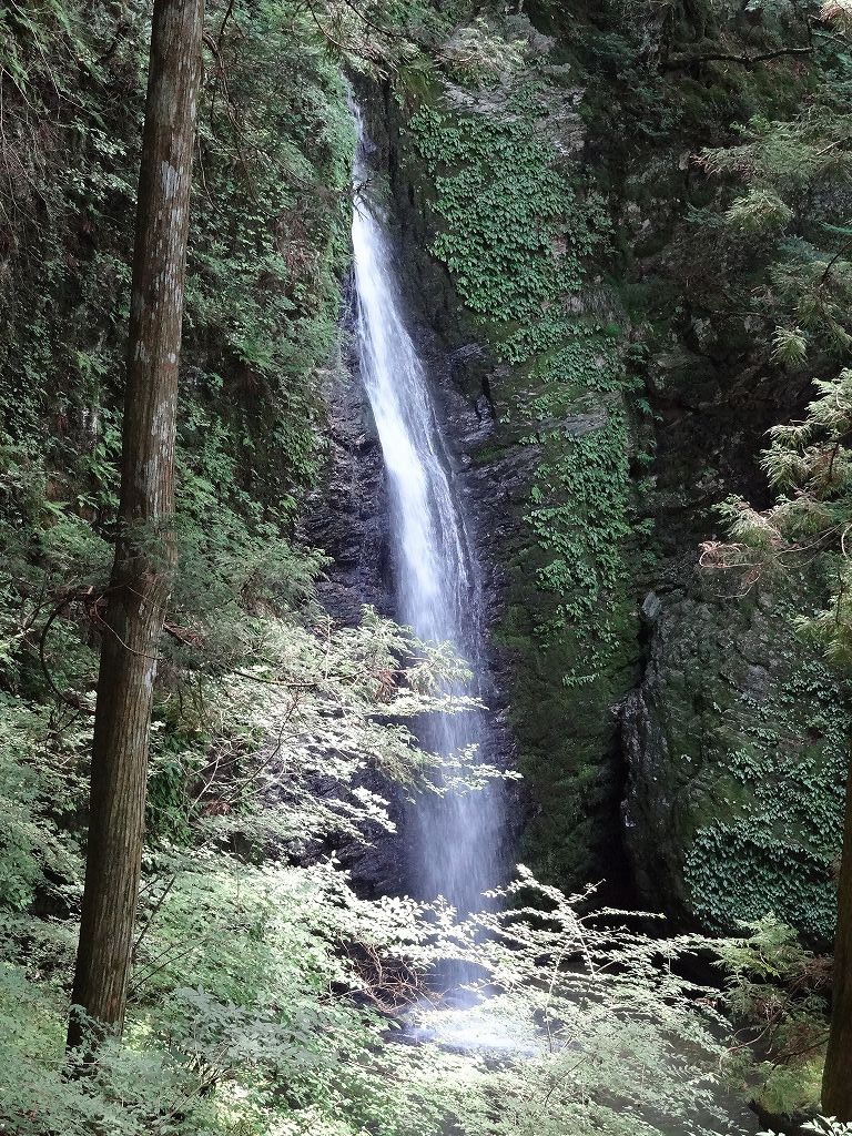 龍王の滝　梶ｹ森　定福寺　ギャリー夢来里_b0124306_12342087.jpg