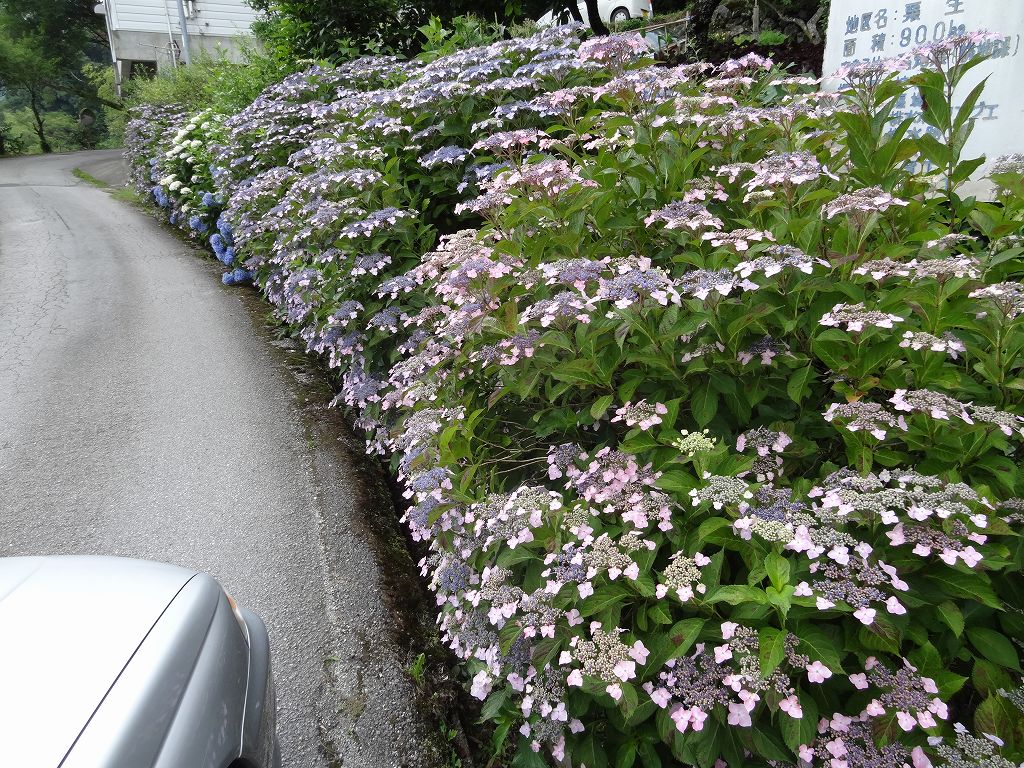 龍王の滝　梶ｹ森　定福寺　ギャリー夢来里_b0124306_13112730.jpg