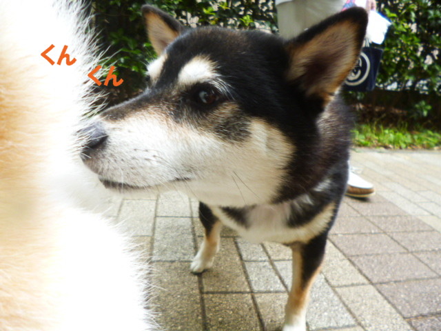 e0131506_92302.jpg