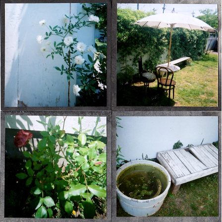 b0251211_22314169.png
