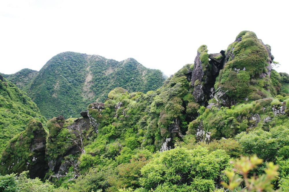 f0212511_21521311.jpg