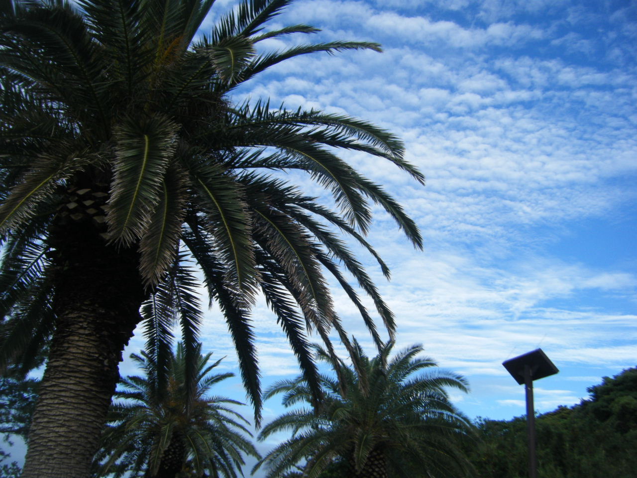 d0023818_10313651.jpg