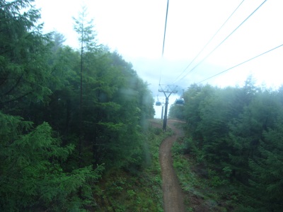 f0177521_6298.jpg