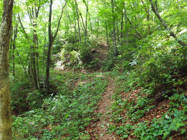 県境の目指山を目指す_c0141223_18463215.jpg