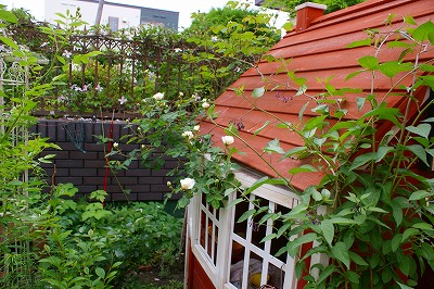 f0170524_9521149.jpg