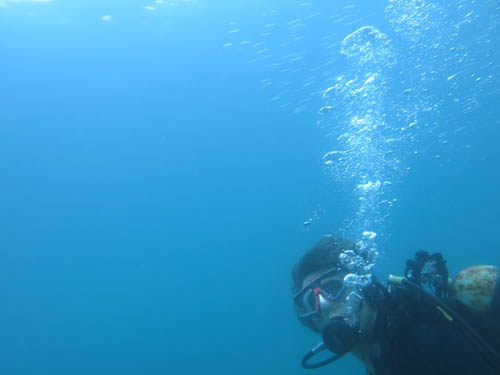 2013年6月19日(水・曇り)甲浦&宍喰_d0164831_14412479.jpg