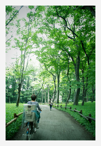 会いたかったのです〜井の頭公園〜_b0127032_1795475.jpg