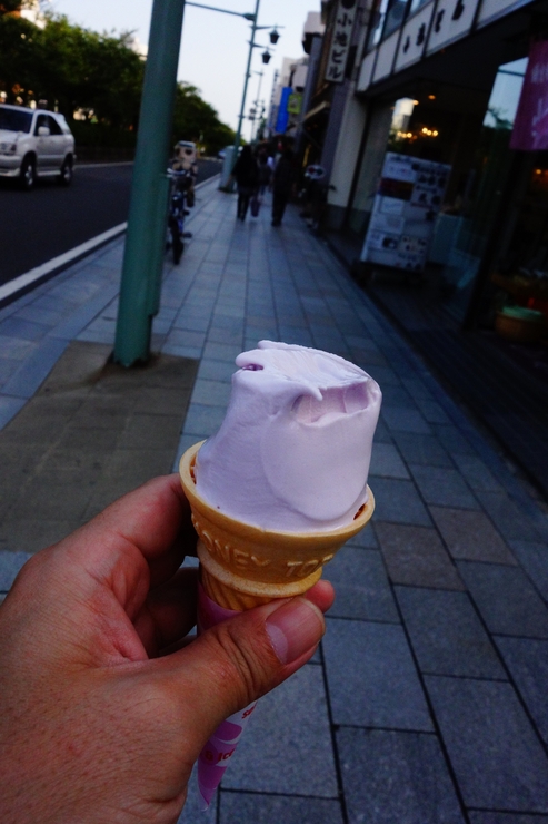 鶴岡八幡宮～鎌倉を全力でぶらぶら その9_a0287336_2312611.jpg