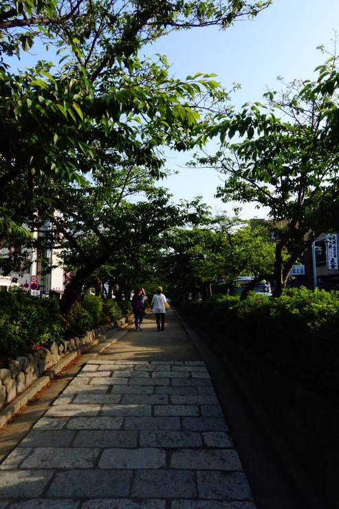 鶴岡八幡宮～鎌倉を全力でぶらぶら その9_a0287336_2334636.jpg