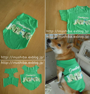 古着Tシャツを柴犬用にリメイク_a0286855_1054999.jpg