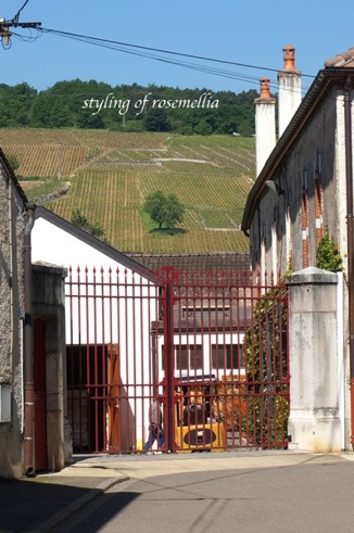 BEAUNE (仏)ロマネコンティ_d0078355_1935240.jpg