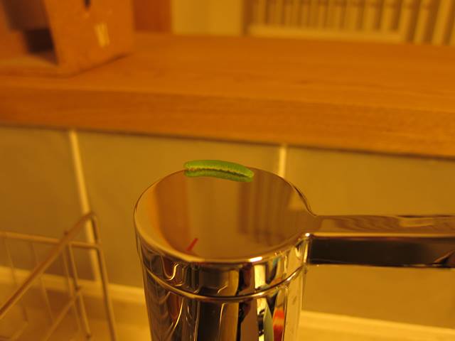 a0208560_14204176.jpg