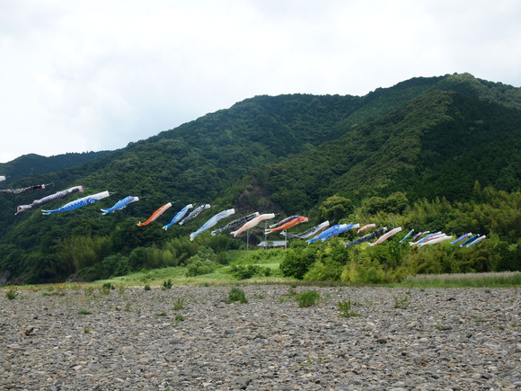 f0163160_03088.jpg