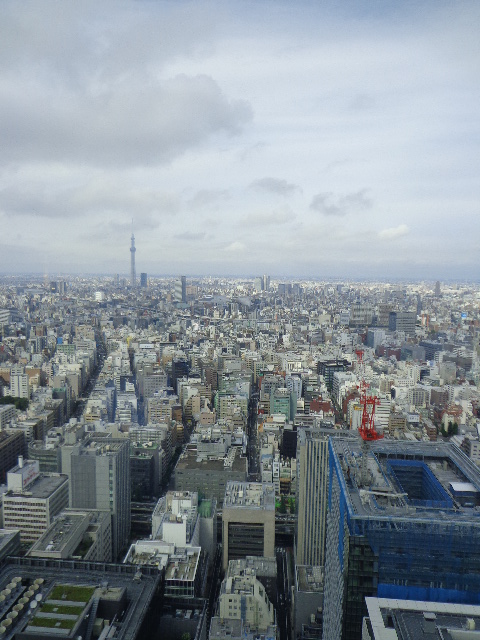 のあ517 マンダリン・オリエンタル♪_b0061261_2021836.jpg