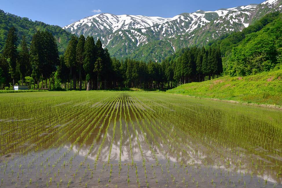 飯豊山の麓_b0223668_6514427.jpg