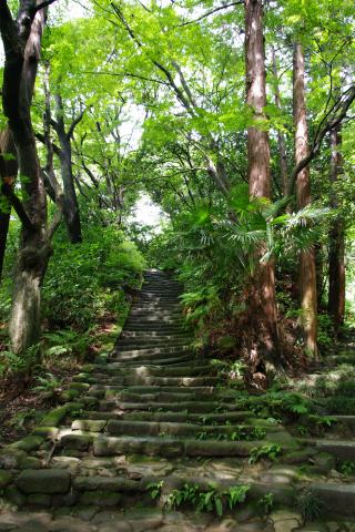 鎌倉散策、3/3 ～ 瑞泉寺→帰宅_e0045768_22140100.jpg