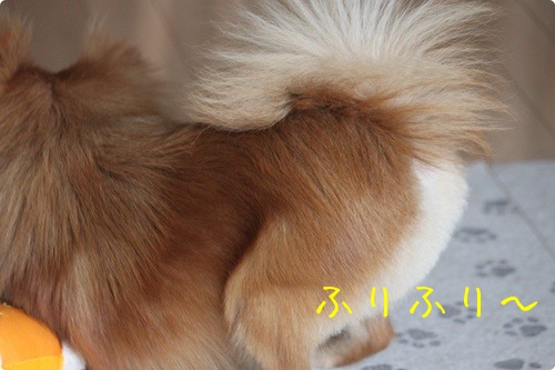 e0330372_81629.jpg