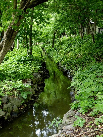 d0084473_21281160.jpg