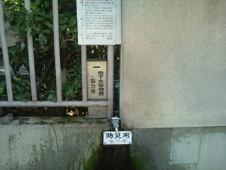 f0200477_6434824.jpg