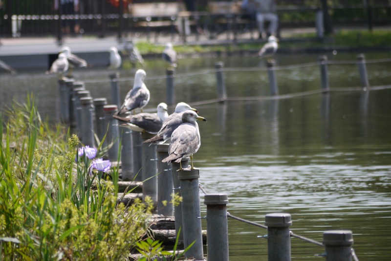 上野動物園①_a0127090_11482591.jpg