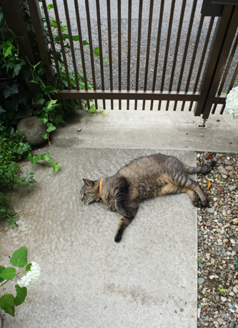 雨が降る前に_f0151592_18521612.jpg