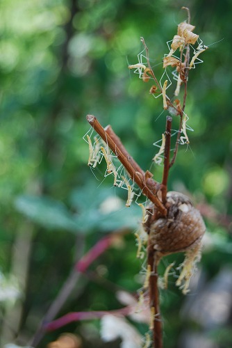 c0124100_23544042.jpg