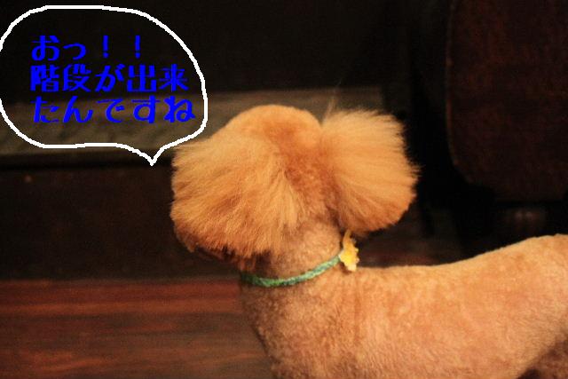 Windows 8。。。_b0130018_23151370.jpg