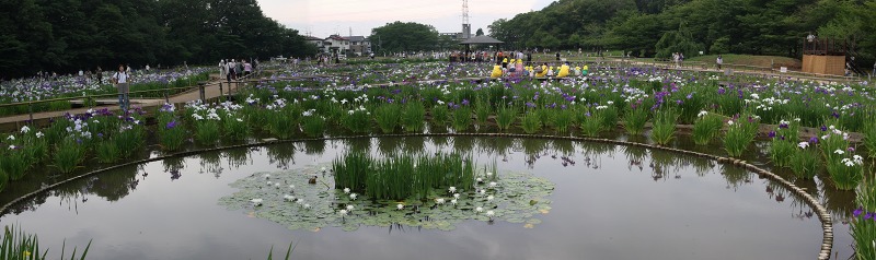 e0117318_17481386.jpg