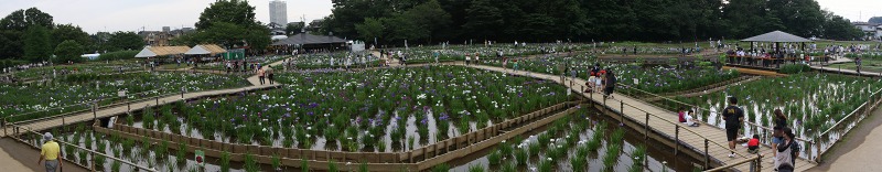 e0117318_1748412.jpg