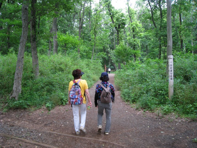 e0117318_17553478.jpg
