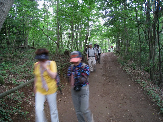 e0117318_1758177.jpg