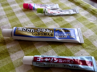 c0204725_11424090.jpg