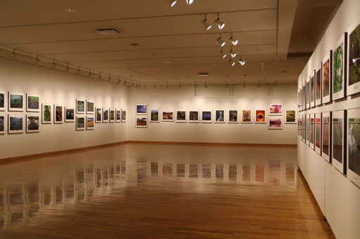 東川町文化ギャラリー展示情報_b0187229_14295777.jpg