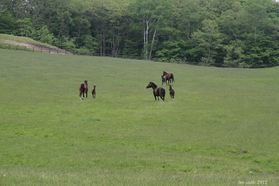 c0240132_5275919.jpg