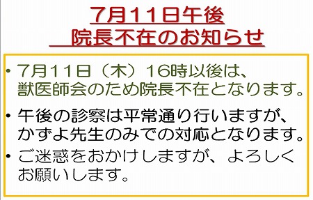 7月の診察_e0268036_13132671.jpg