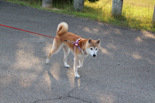 f0245650_8283037.jpg